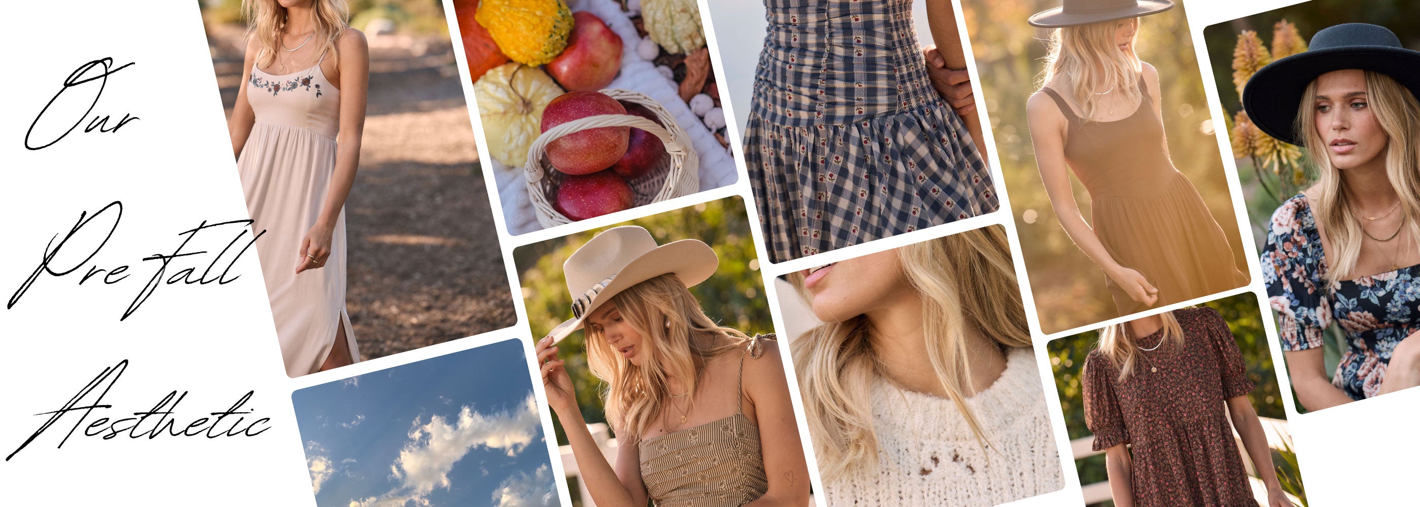 Latest Luxe Looks featuring Saltwater Luxe pre-fall dresses, knits and transitional new arrivals