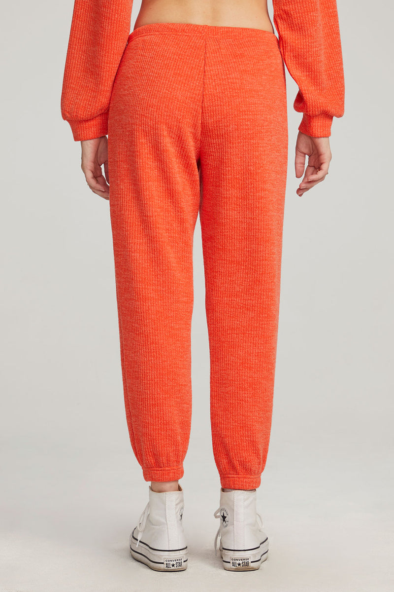 Pull On Jogger Pant - Saltwater Luxe